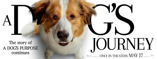 Film Review: A DOG’S JOURNEY