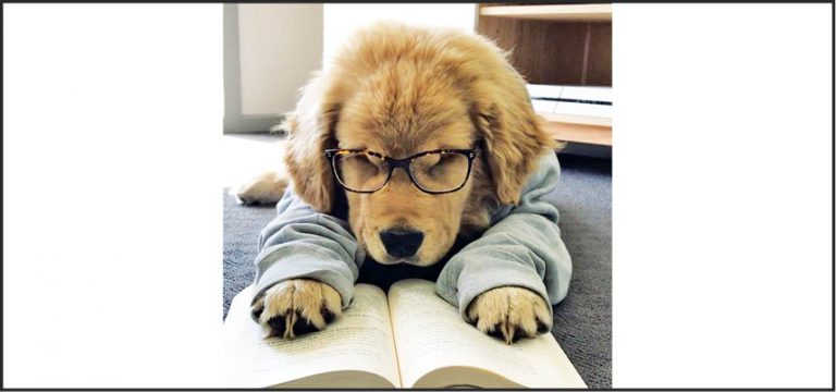 Caption This – 15th June