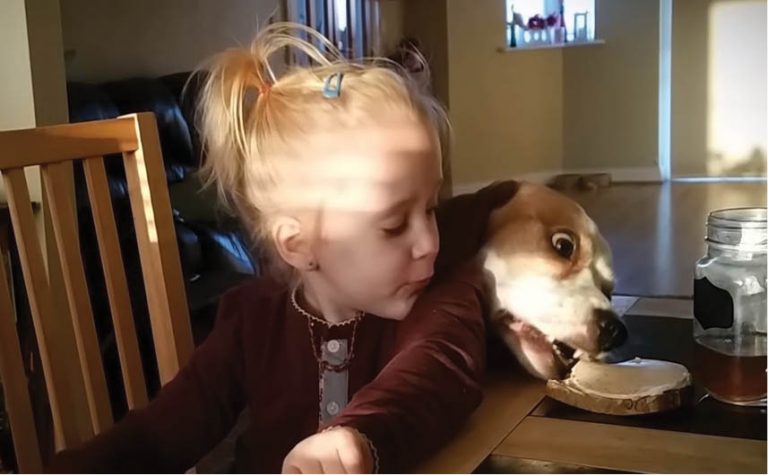 Pet Puja: Who Stole My Cookies?