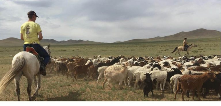 A Zoroastrian Settled In Mongolia