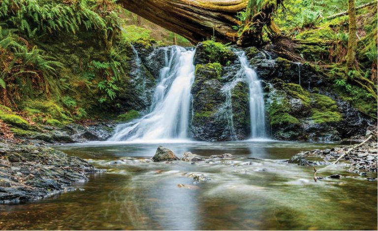 Nurture Environment. Don’t Kill It!