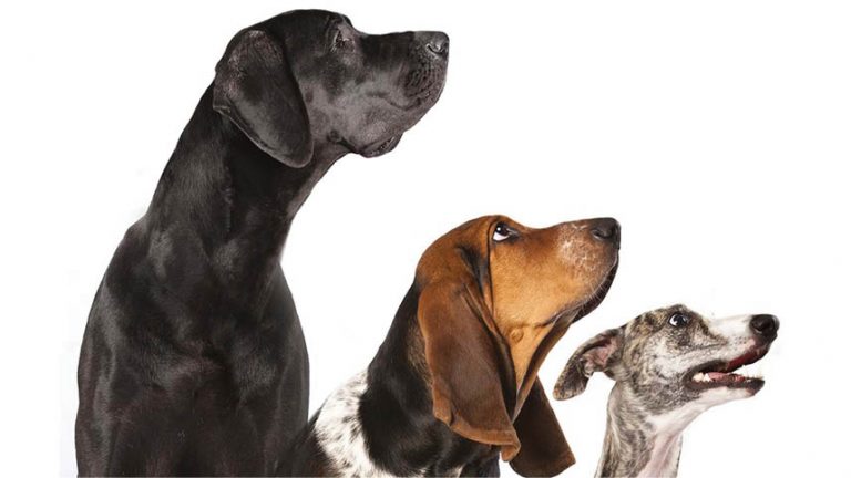 Caption This – 21st September