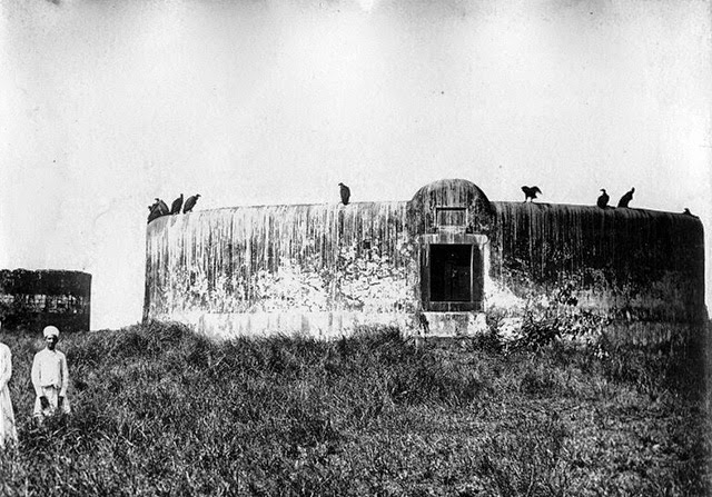 The Protocol Of Death