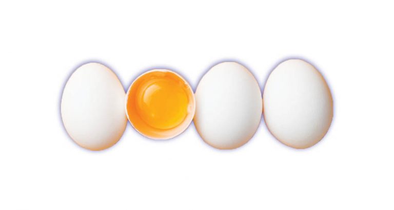 The World Egg Day Contest!