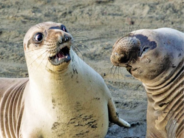 Caption This – 12th October