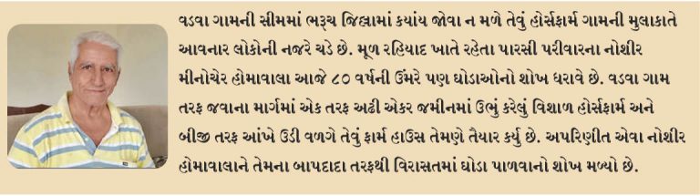 80 વર્ષની વયે 10 કિલોમીટર ઘોડસવારી કરતા નોશીર હોમાવાલા