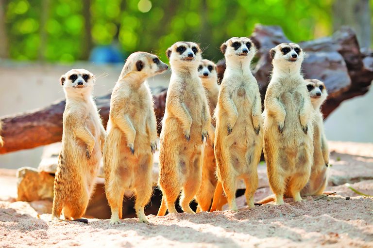 Caption This – 2nd November