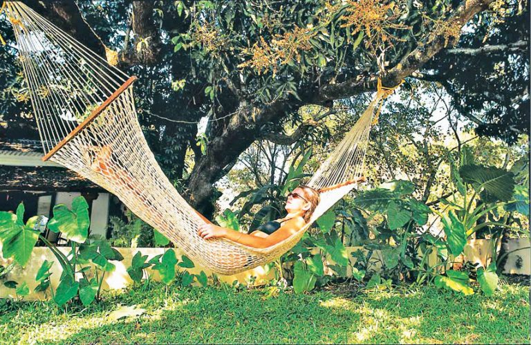 Green Goan Grandeur – The Laguna Anjuna