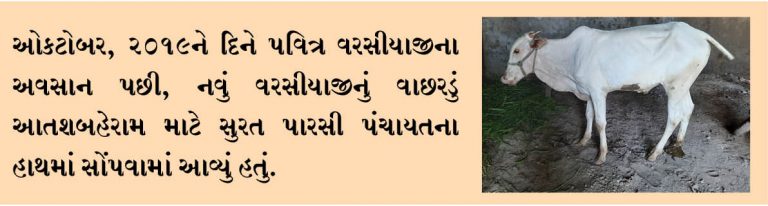 સુરતના આતશબહેરામ માટે નવું વરસીયાજીનું વાછરડું