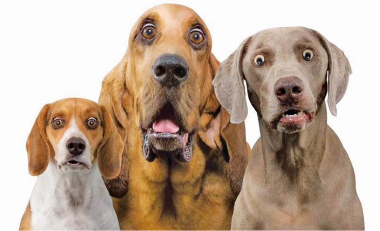 Caption This – 7th December