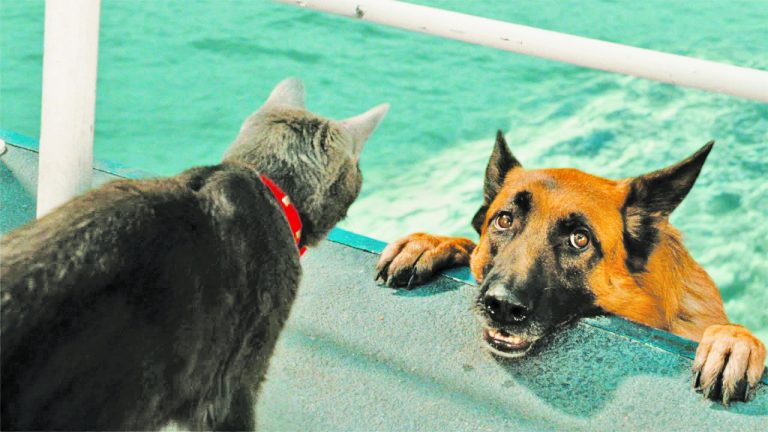 Caption This – 8th February