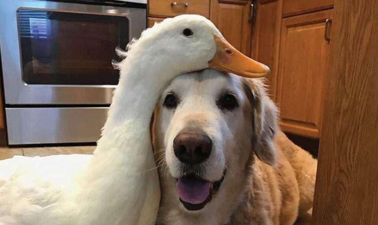 Caption This – 22nd February