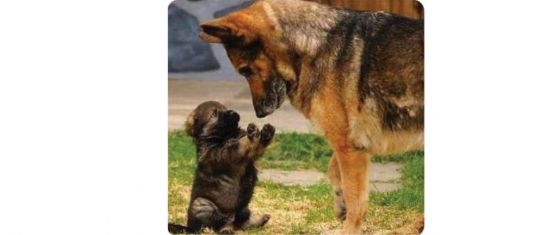 Caption This – 28th March