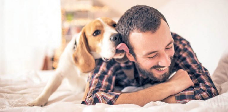 Handling Your Dog During The Lockdown And The Quarantine