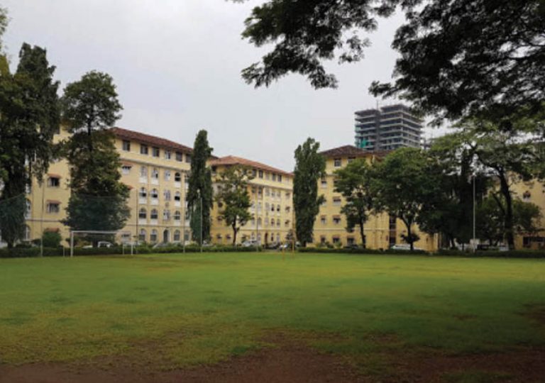 Blessed Are Our Baugs!