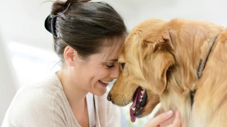 Pet Puja: A Letter To Pet Parents