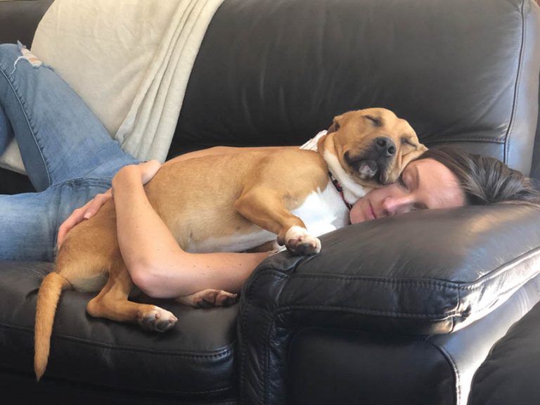 Pet Puja: How Do You Prevent Your Stress From Affecting Your Dog?