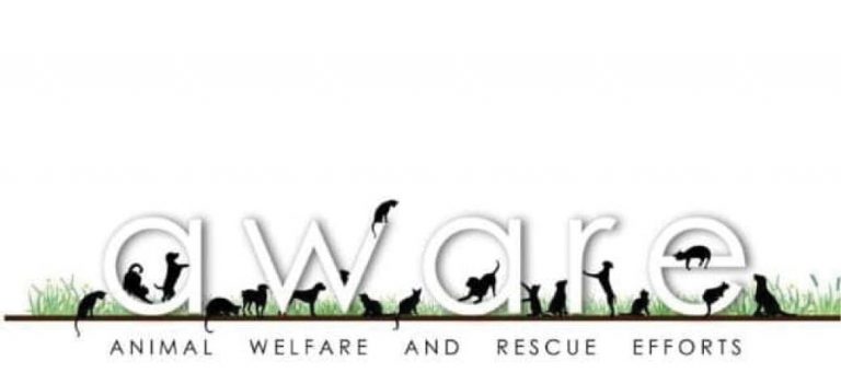 Appeal: Donate to the Aware Foundation