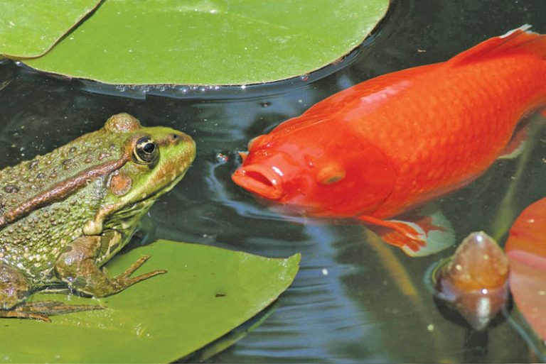 The Zen Series: Gloating Gets You Nowhere