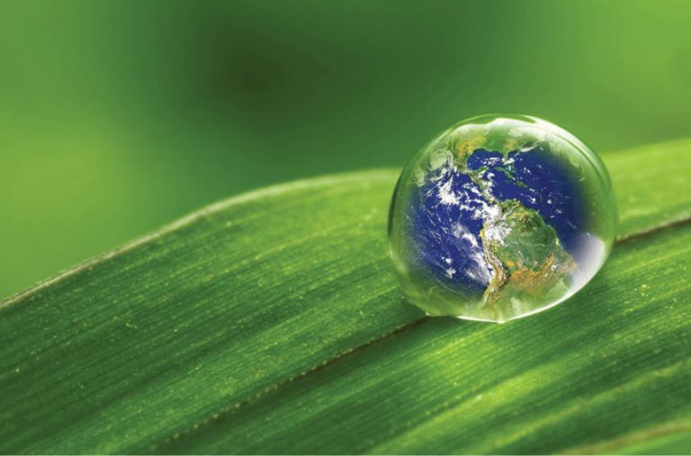 The Zen Series: THE WORLD IN A DROP OF WATER