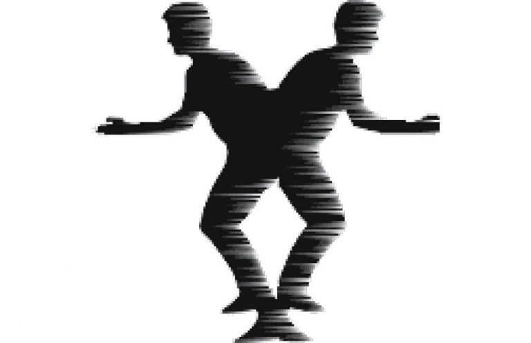 The Zen Series: Chasing Two Rabbits