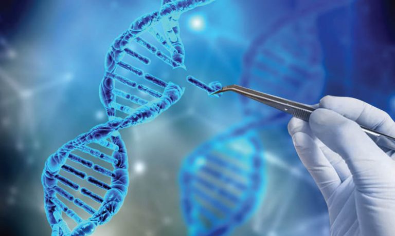 Prelude To Avestagenome Project Webinar