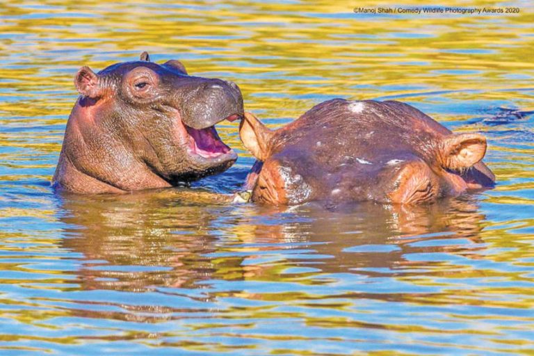 Caption This – 22nd August