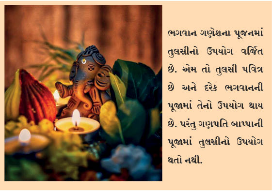 શું તમે જાણો છો કે ભગવાન ગણેશની પૂજામાં તુલસીનો ઉપયોગ કેમ નથી થતો?