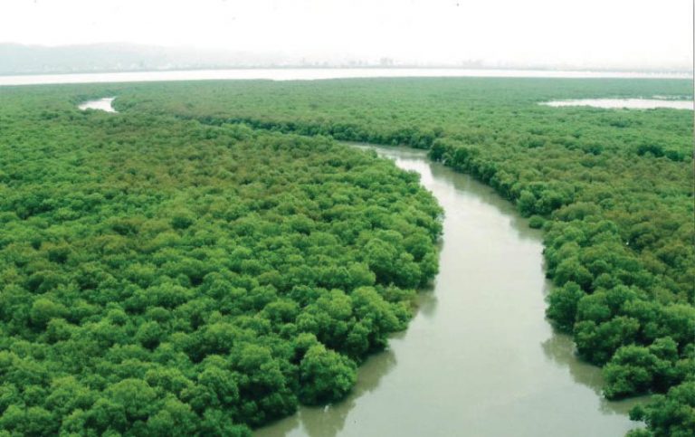 Godrej & Boyce And WWF India Launch ‘Magical Mangroves’ Campaign