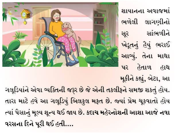 નવા વર્ષની ભેટ