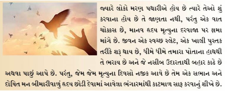 ક્ષમા શોધવી