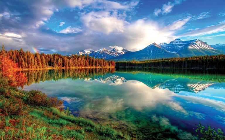 The Zen Series: The Finest Is The Simplest