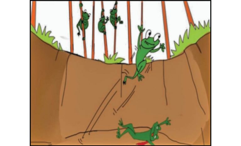 The Zen Series: The Frog That Made It