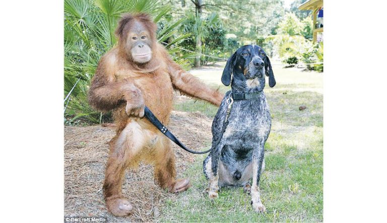 Caption This – 17th October