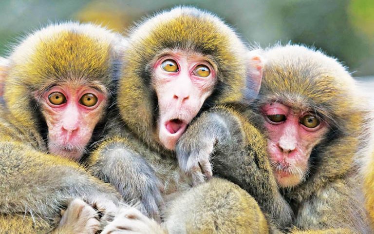 Caption This – 3rd October