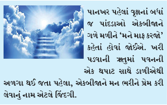 માફ કરતા શીખો!