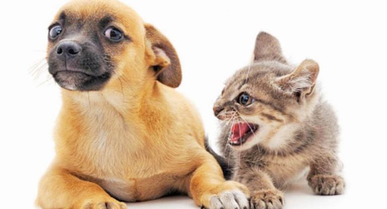 Caption This – 2nd January