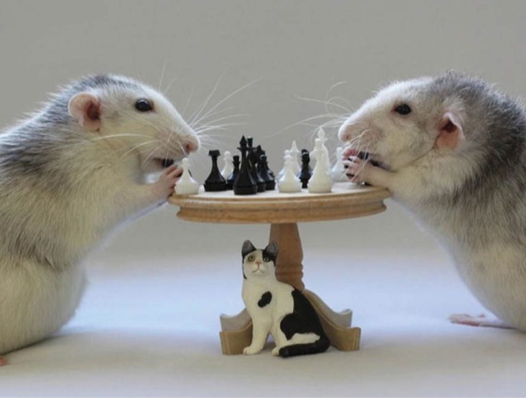 Caption This – 12th December