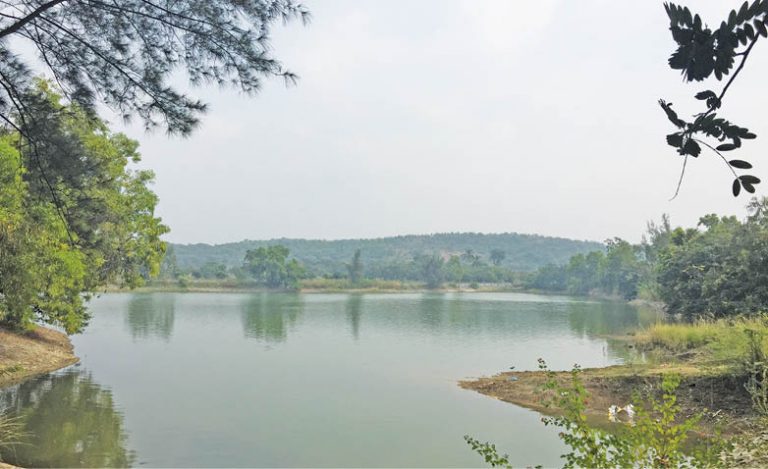 Don’t Forget To Visit The Serene Udvada Lake On Your Next Trip!