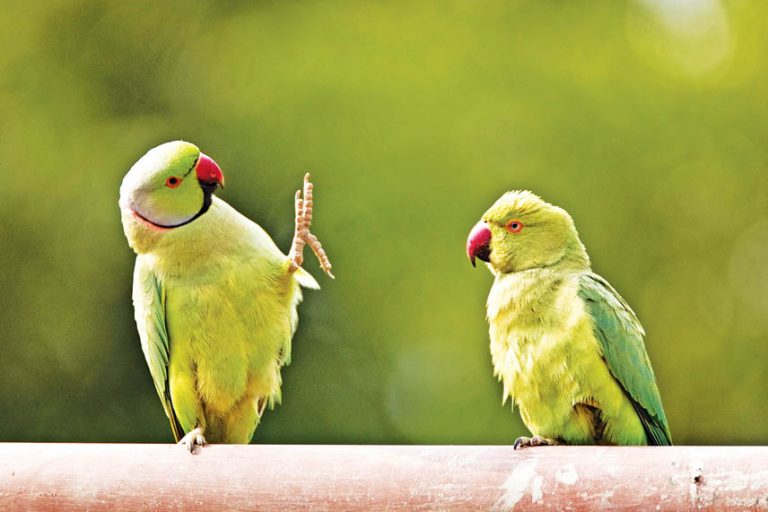 Caption This – 6th February