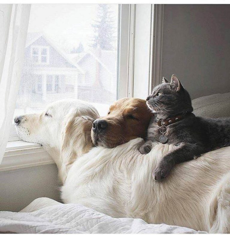 Caption This – 20th February