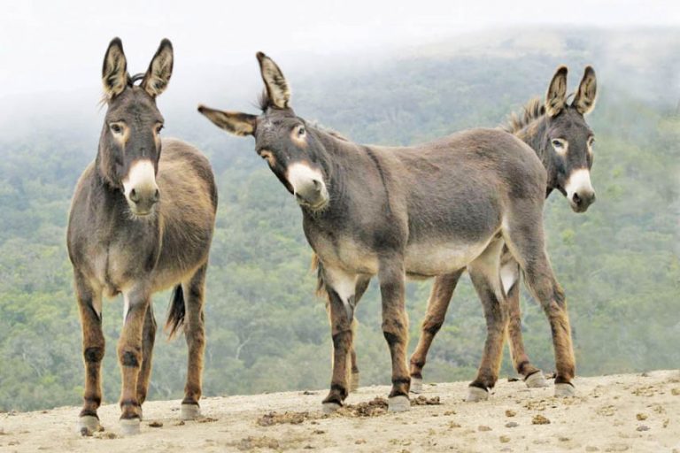 Caption This – 6th March