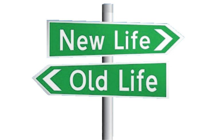 Our Only Purpose In Life Is Growth