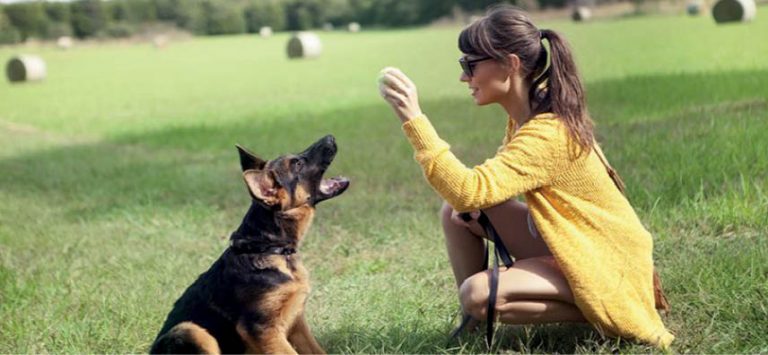 Don’t Leave Me Alone!