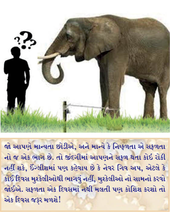 નિષ્ફળતા એ સફળતાનો જ એક ભાગ છે!