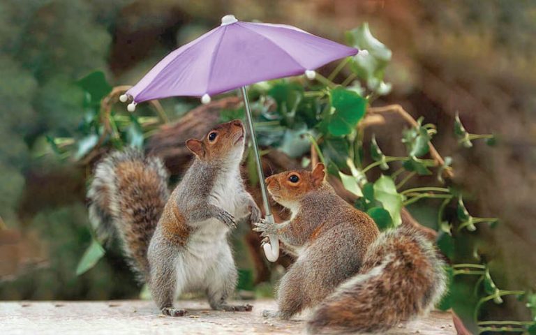 Caption This – 10th April