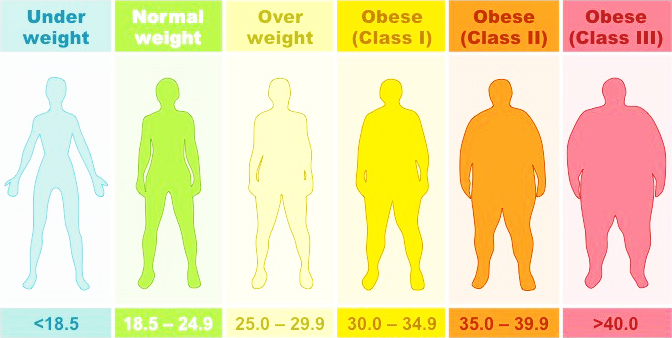 Thou Shalt Not Waste Thy Waist!