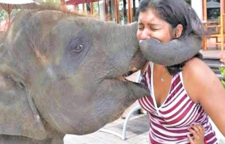 Caption This – 29th May