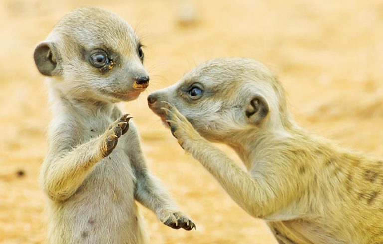 Caption This – 8th May