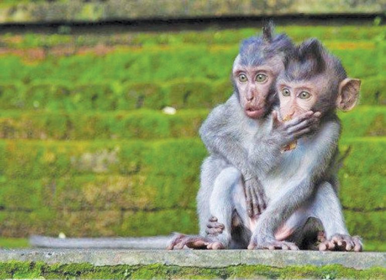 Caption This – 12th June